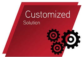 Custom software development